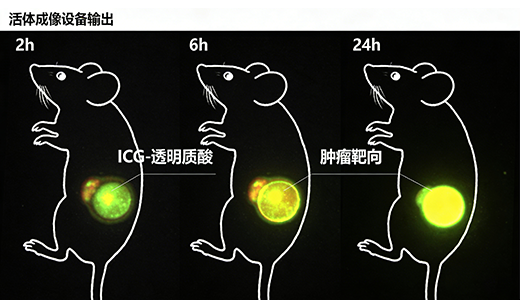 ICG 标记透明质酸