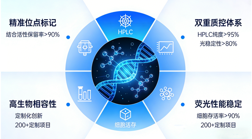 荧光标记糖定制核心技术优势