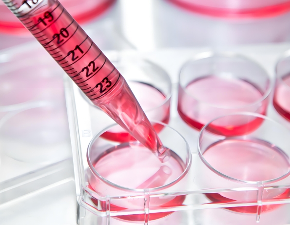 NK细胞膜包被二氧化钛纳米粒 NK细胞膜包被二氧化钛纳米粒