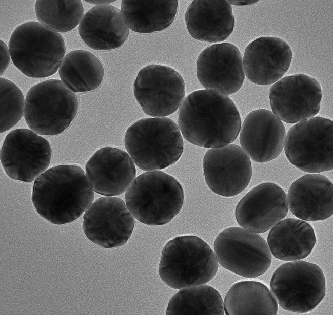 金纳米颗粒微球定制服务-西安pg电子娱乐游戏app
生物提供