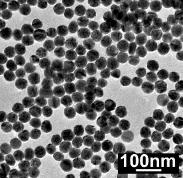 氨基化树枝状介孔二氧化硅微球(粒径100nm,孔径10nm)定制合成服务