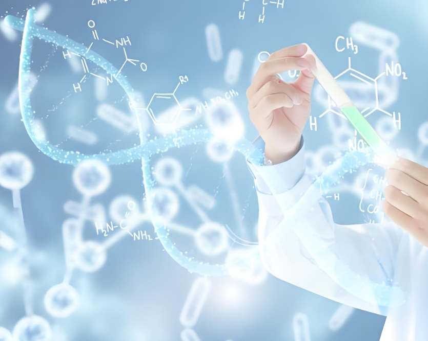 6-MP-ss-HA:谷胱甘肽敏感的巯嘌呤-透明质酸高分子前药定制合成服务