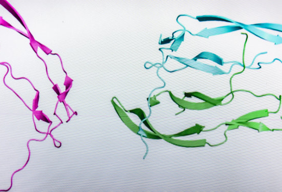 西安pg电子娱乐游戏app
生物PEG修饰蛋白定制服务