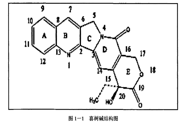 聚轮烷—喜树碱偶联物（PR-CPT前体）给药系统的定制合成-西安pg电子娱乐游戏app
生物提供
