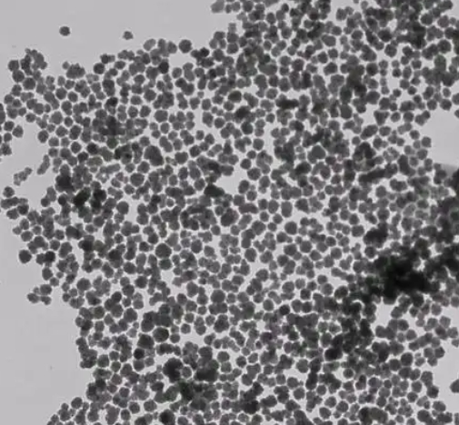 长春新碱–胆固醇脂质体定制技术-西安pg电子娱乐游戏app
生物
