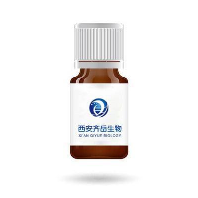 Gla-PNIPAM，氨基葡萄糖修饰聚(N-异丙基丙烯酰胺)的定制合成