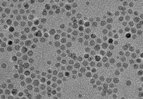 多肽修饰改性PLGA定制技术--pg电子娱乐游戏app
生物
