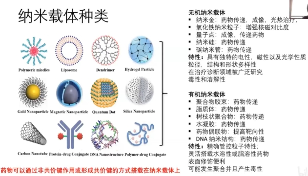​核苷类前药定制合成技术--pg电子娱乐游戏app
生物科普