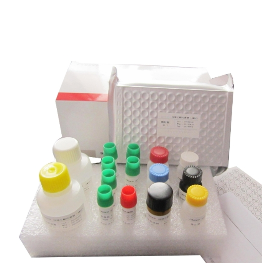柠檬酸修饰金纳米颗粒：Citrate-Au NPs的定制合成技术