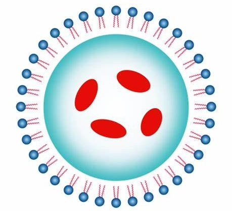 糖胺聚糖修饰技术（Glycosaminoglycan Modification）pg电子娱乐游戏app
生物提供