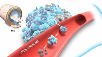 核壳结构上转换纳米颗粒定制技术（Core–Shell Structure）-西安pg电子娱乐游戏app
生物