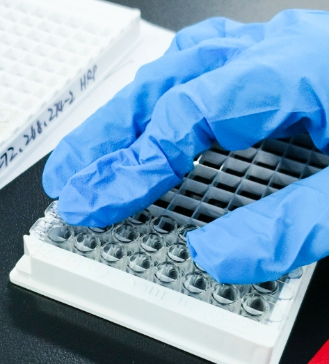 基于PROTAC药物设计合成技术-西安pg电子娱乐游戏app
生物