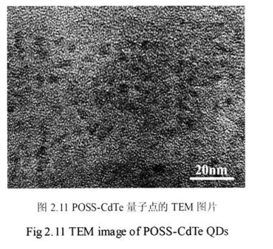 OM-POSS修饰的高生物相容性碲化镉荧光量子点(POSS-CdTe QDs)具有良好的光稳定性pg电子娱乐游戏app
生物供应