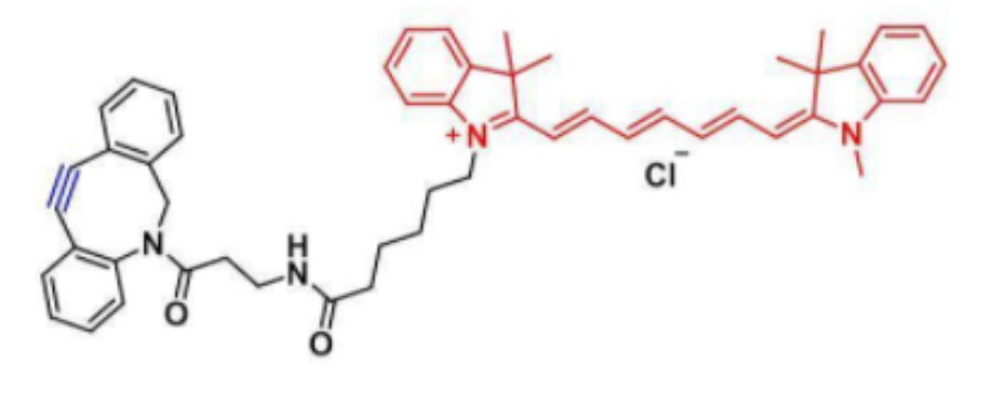 前体药物改性修饰prodrug业务介绍-西安pg电子娱乐游戏app
生物科技有限公司