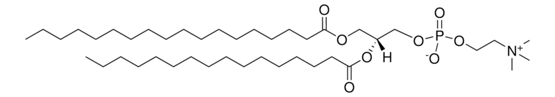 18:0-16:0 PC，CAS:59403-53-1，1-硬脂酸-2-棕榈酰磷脂酰胆碱的实验应用实例