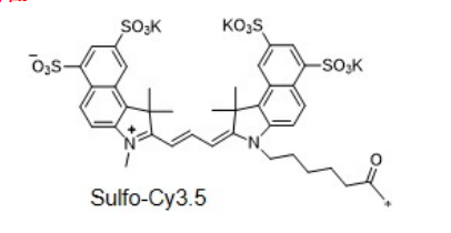 磺化Cy3.5