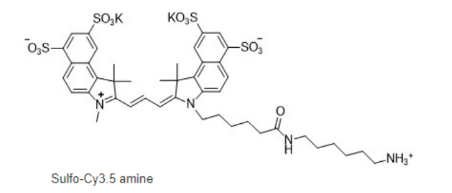 Sulfo-Cy3.5 amine Sulfo-Cy3.5 amine