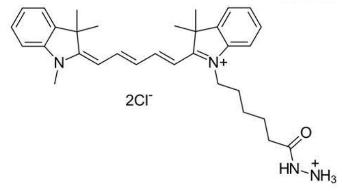 水溶性Cy5.5酰肼 水溶性Cy5.5酰肼