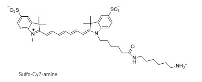 Sulfo-CY7-NH2 Sulfo-CY7-NH2