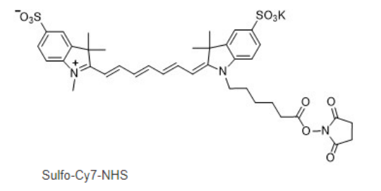 Sulfo-CY7-NHS ester Sulfo-CY7-NHS ester