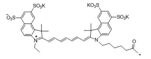 水溶性CY7.5 水溶性CY7.5