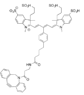 红外 650 DBCO 红外 650 DBCO
