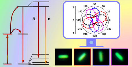 水溶 NaYF4 20%Yb3+ 2%Er3+ 水溶 NaYF4 20%Yb3+ 2%Er3+